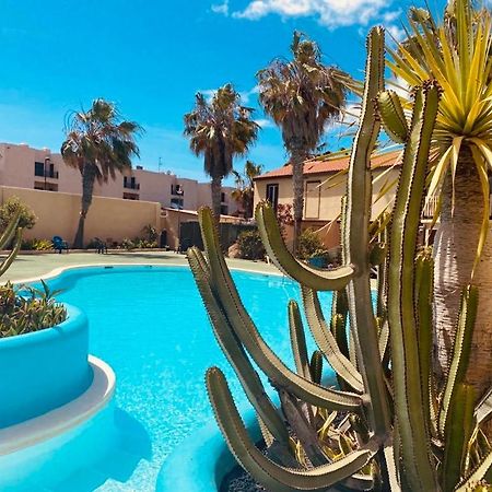 Appartement Surf And Chill Bungalow 70 à Parque Holandes Extérieur photo