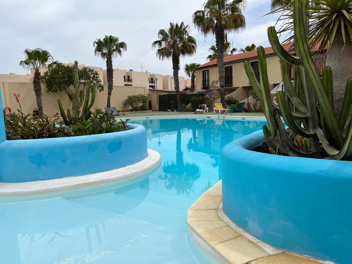 Appartement Surf And Chill Bungalow 70 à Parque Holandes Extérieur photo