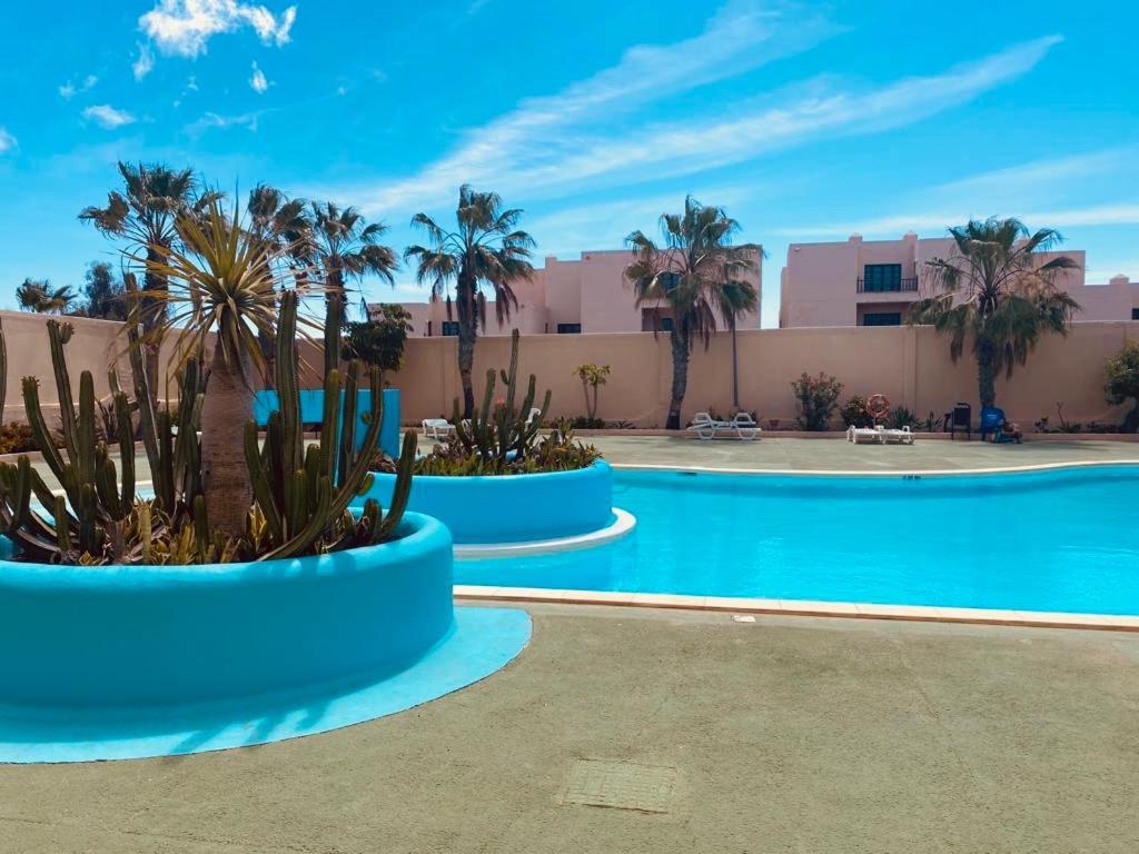 Appartement Surf And Chill Bungalow 70 à Parque Holandes Extérieur photo